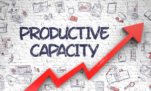 Productive Capacity